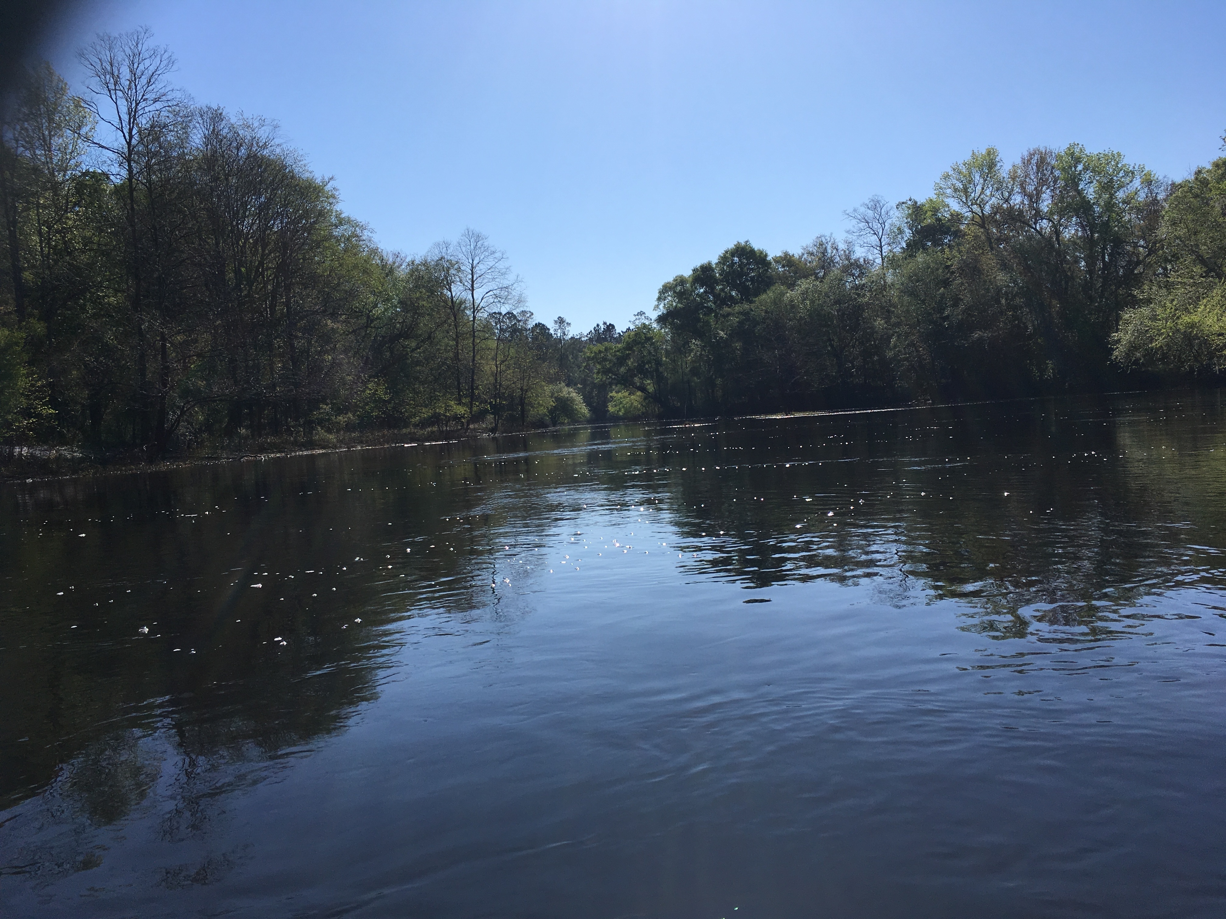 Looking into the oxbow, 10:18:08, 30.7996778, -83.0305861