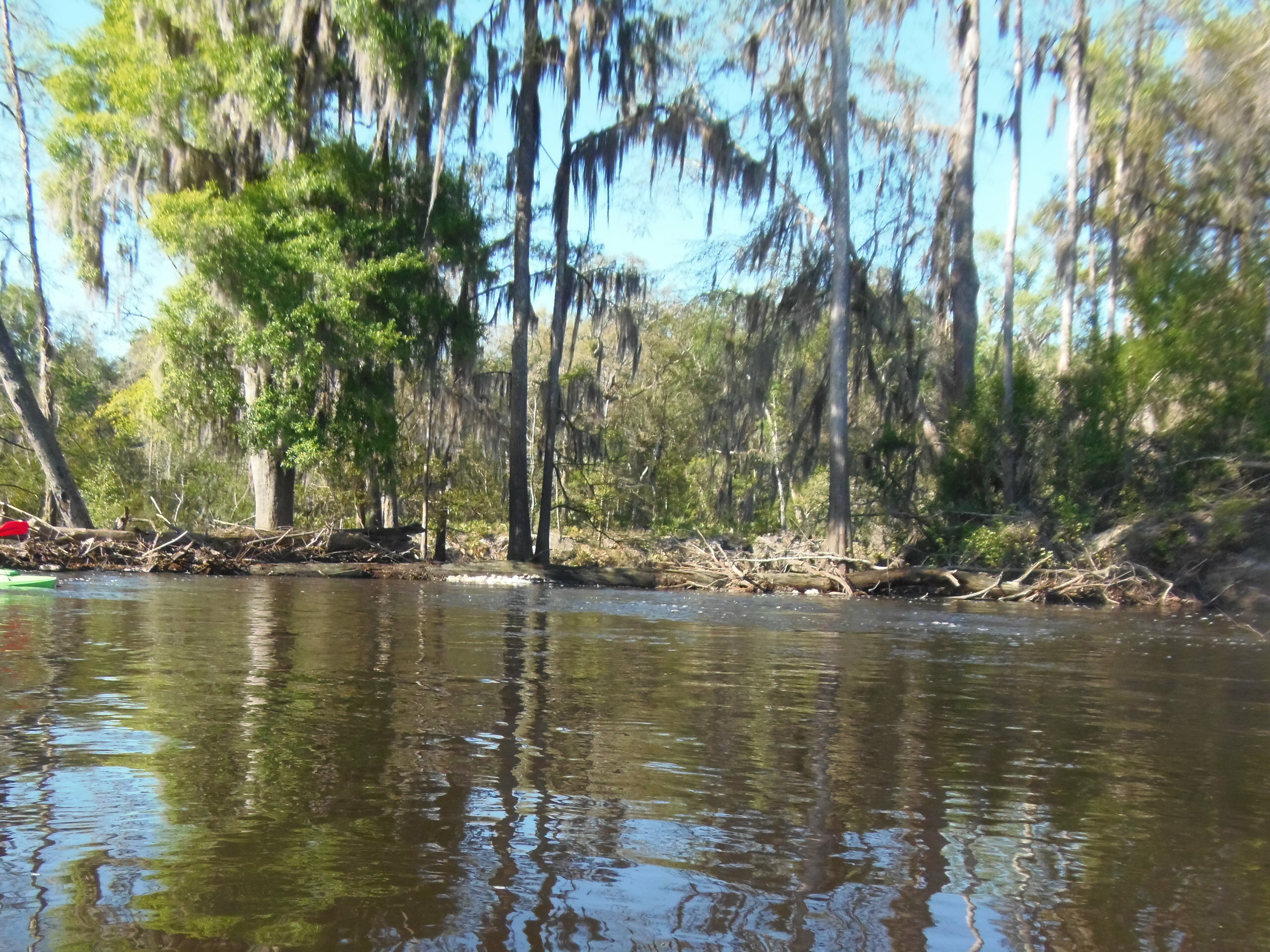 Oxbow tree, 09:39:53