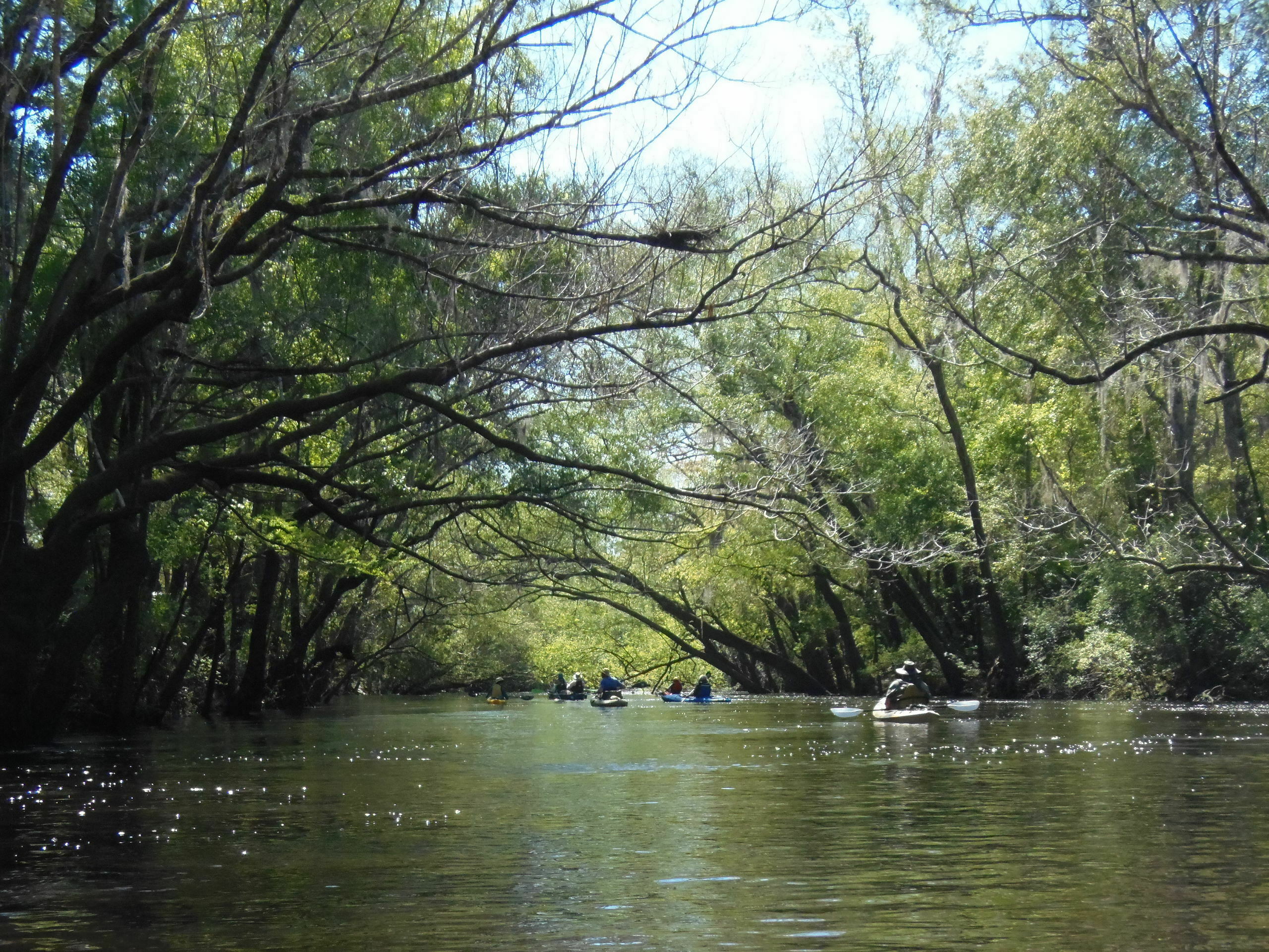 Paddling under, 10:56:32