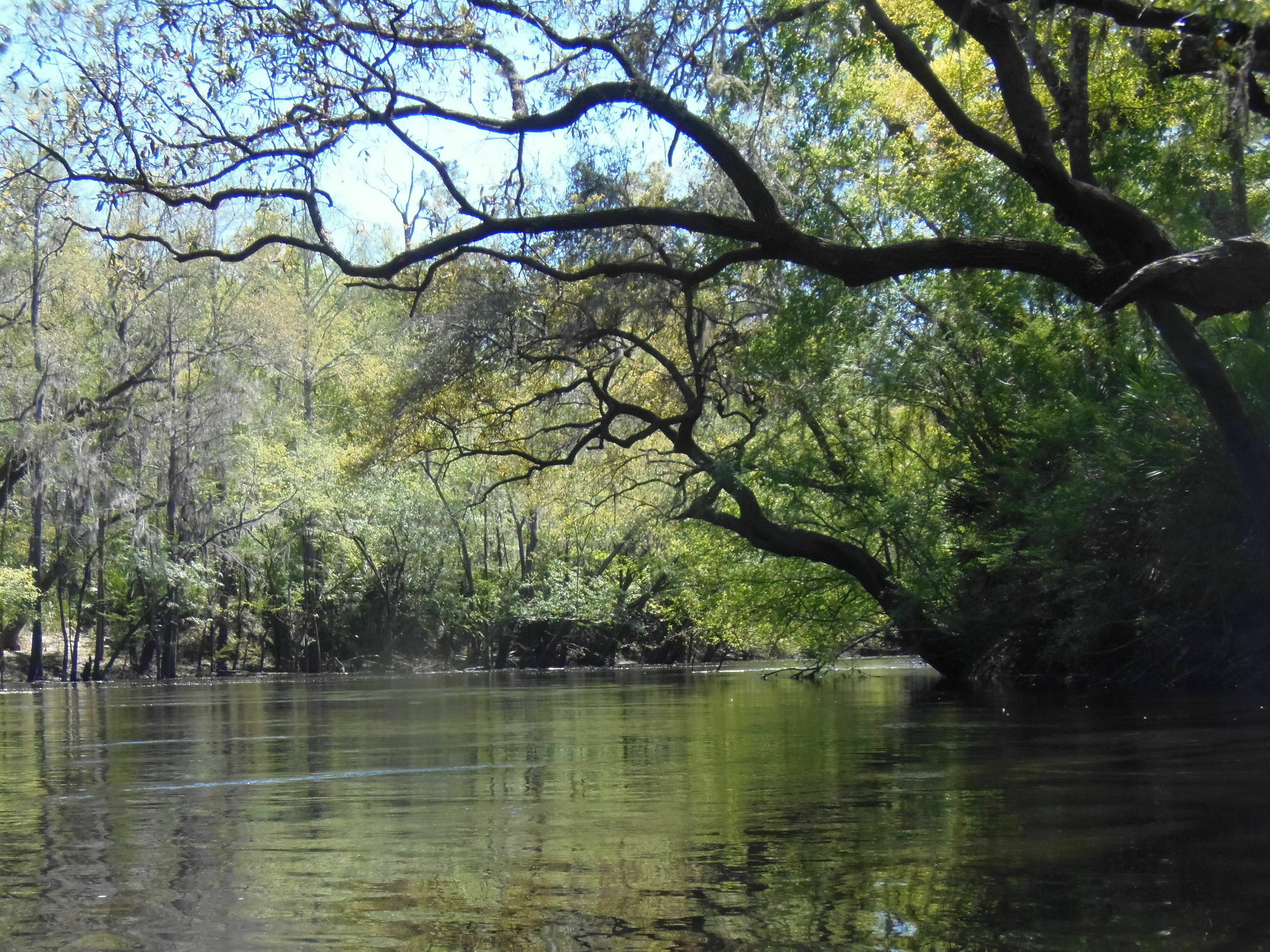 Under the limbs, 13:18:11