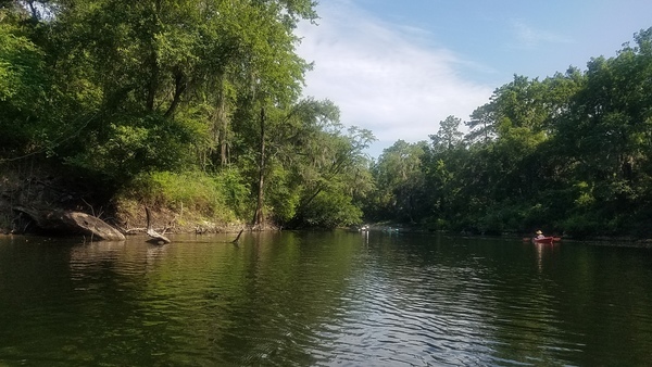 Looking upstream by jsq, 10:07:29, 30.4473134, -83.2174949