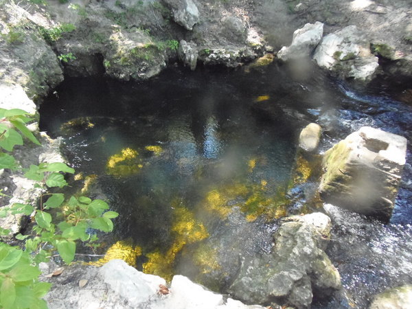 Spring pool, 15:08:59