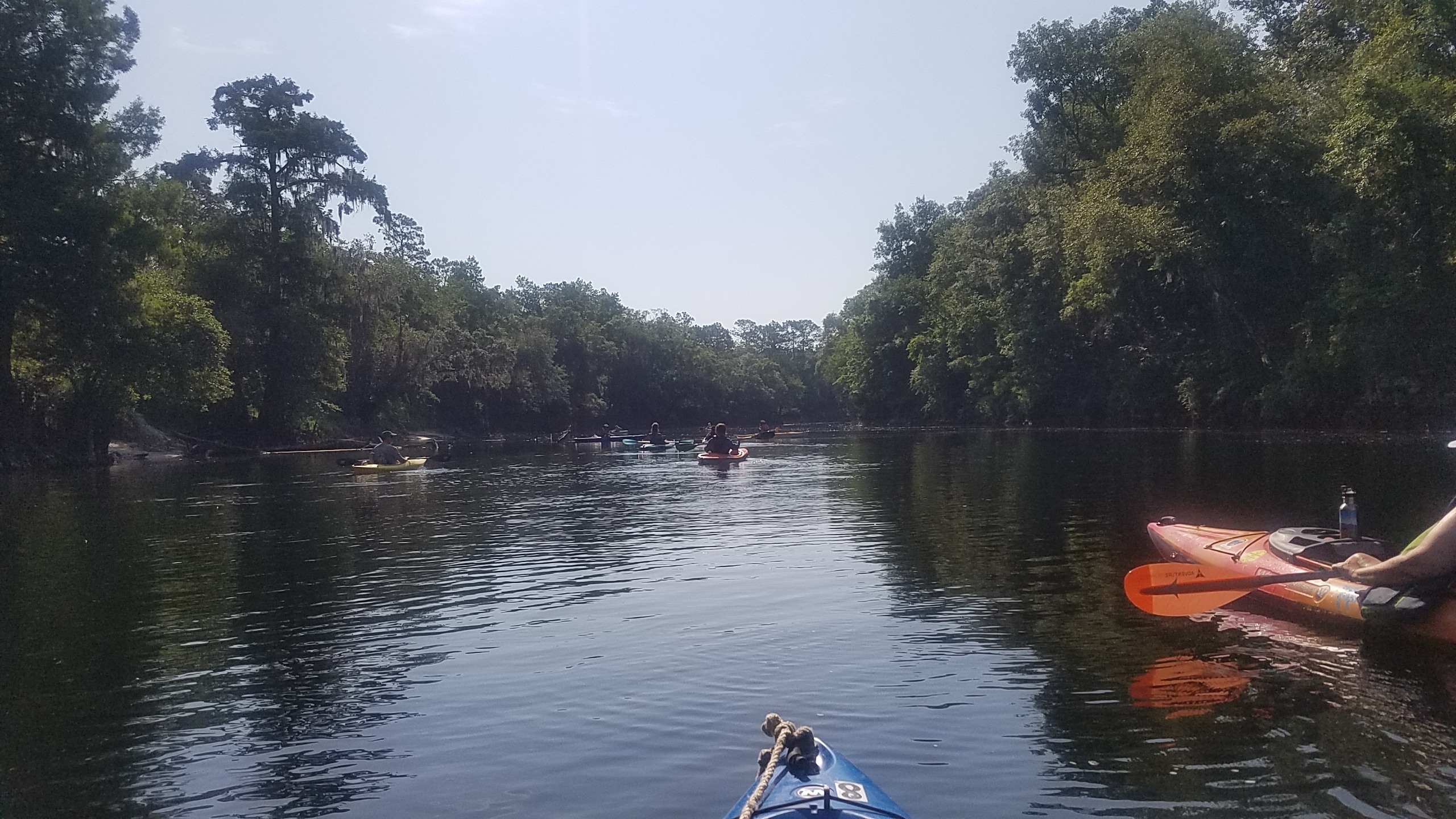 Many boats by jsq, 09:59:11, 30.4490433, -83.2211629