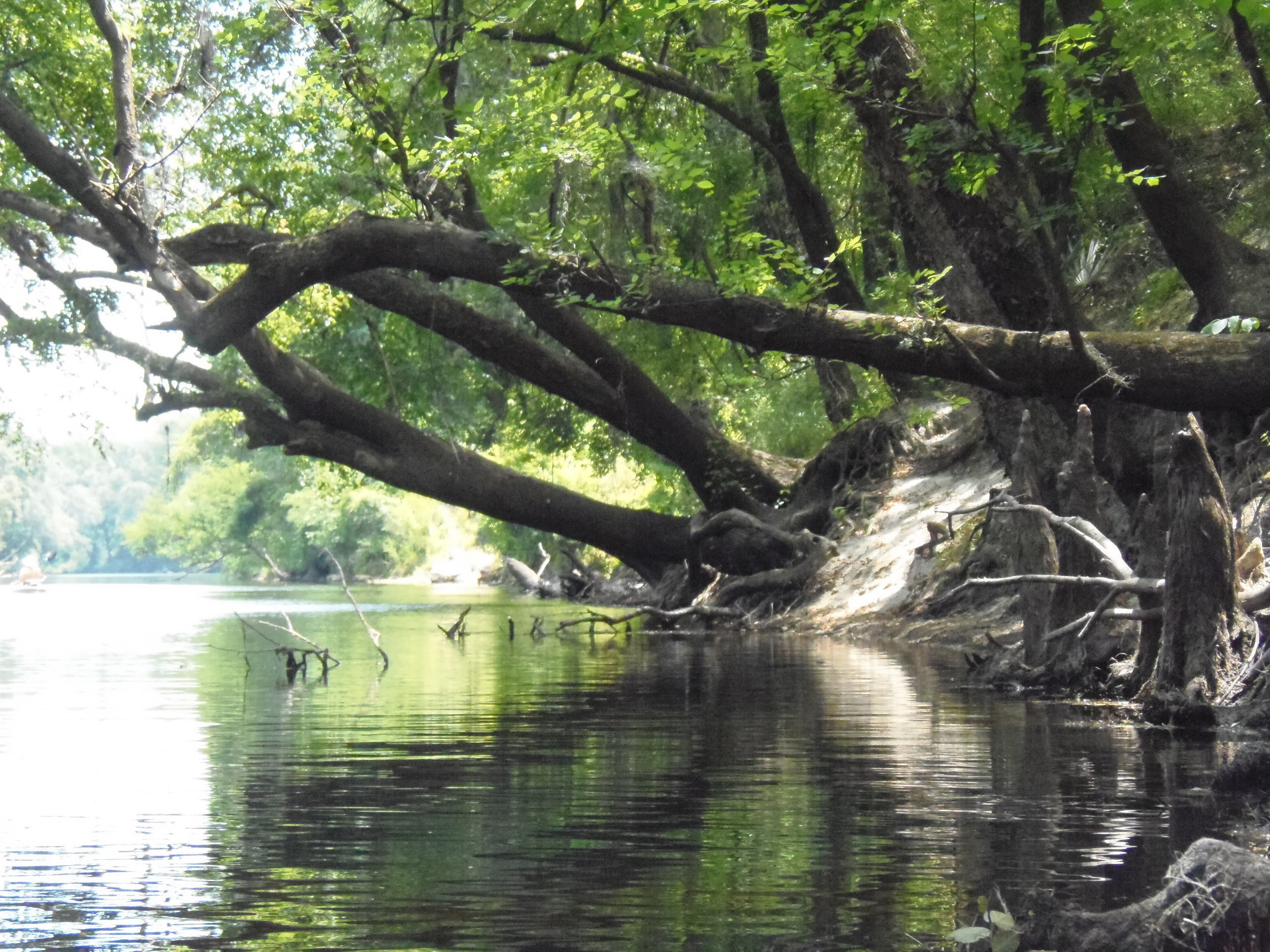 Limb reflections, 12:28:09