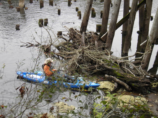 Paddle to pick up