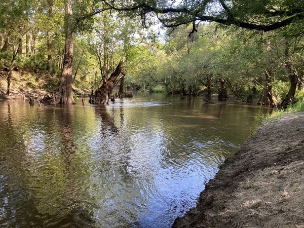 Withlacoochee River slightly upstream