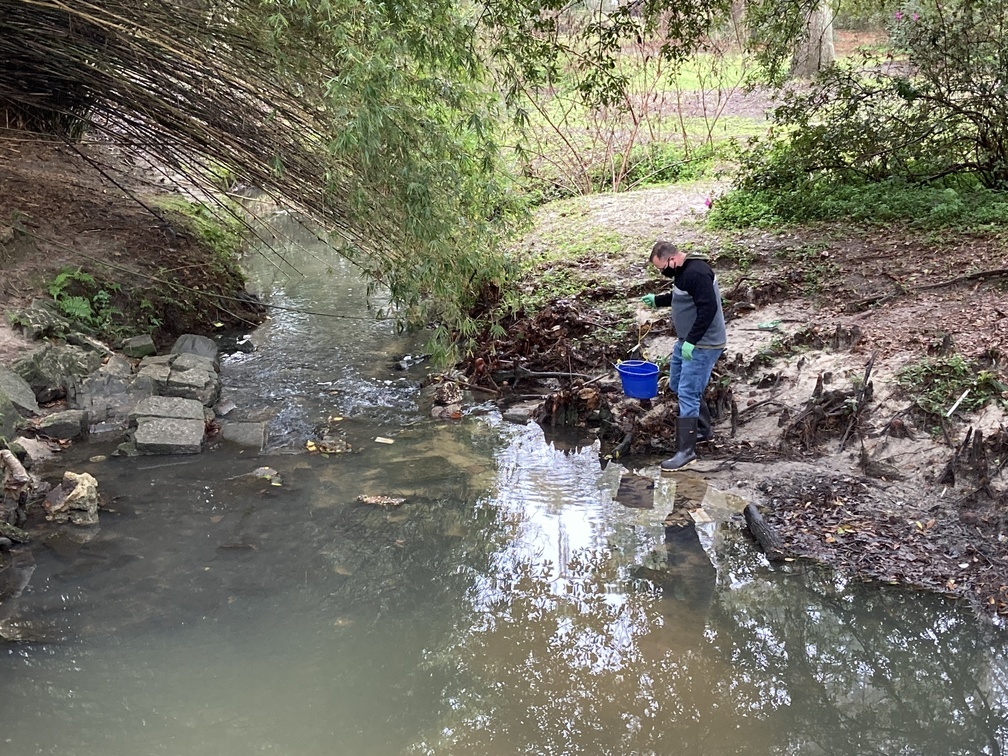 Sampling Onemile Branch