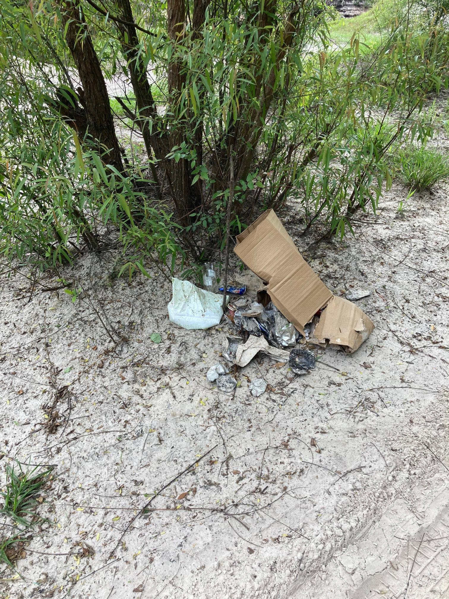 This was a apparently a box of bottles and cans that someone just ditched after carrying it around in the back of their truck for a while. People, use a garbage can please.