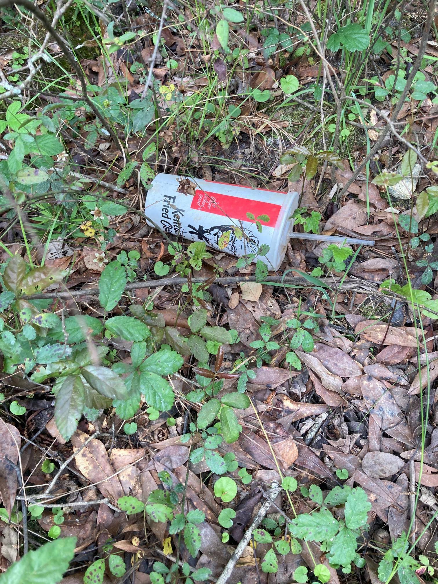 KFC eaters are often litter bugs.