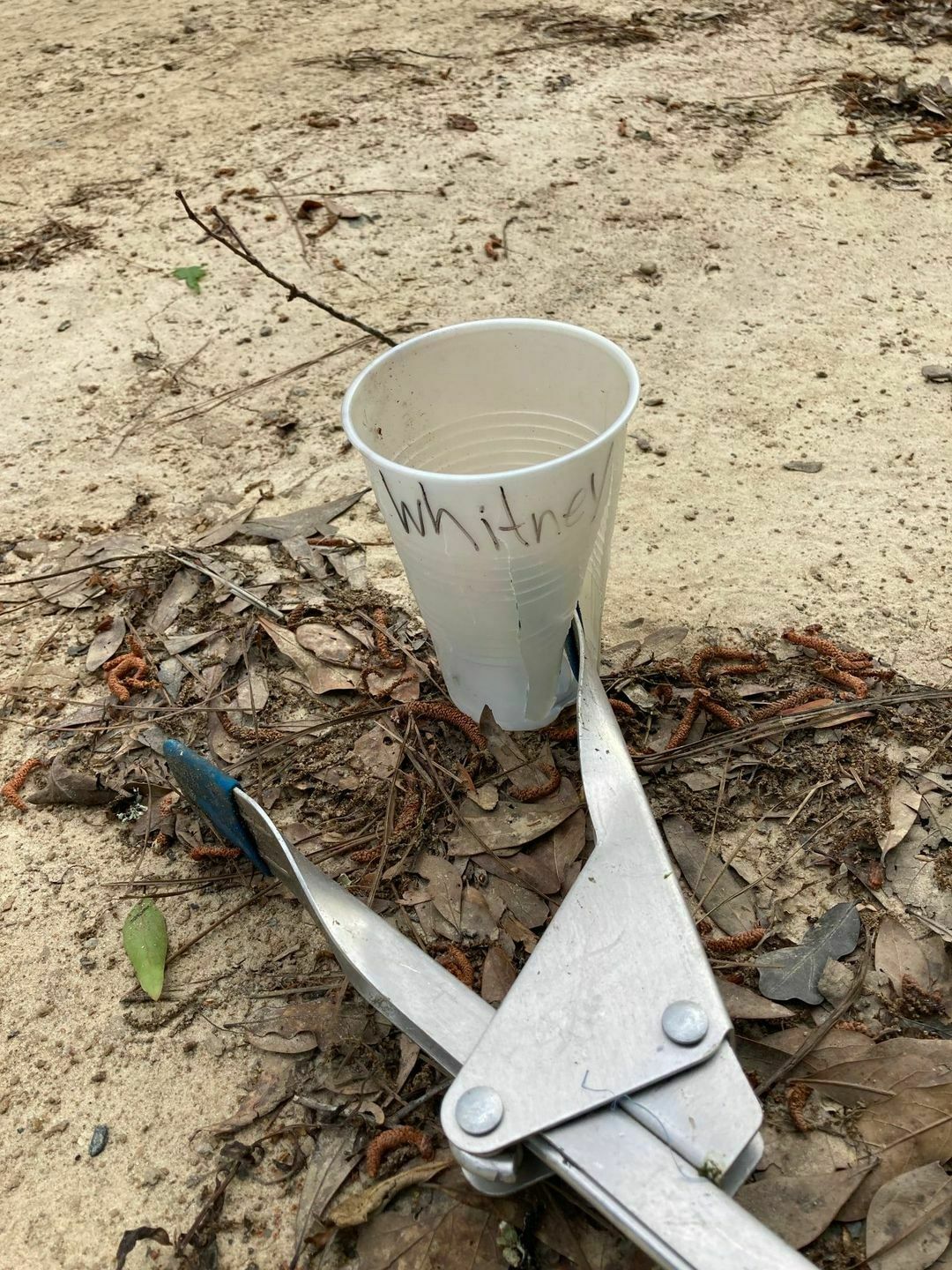 Whitney, when you lent your car to a friend, they threw out your trash at Paffords Landing. Probably you don't want to lend it to them again.