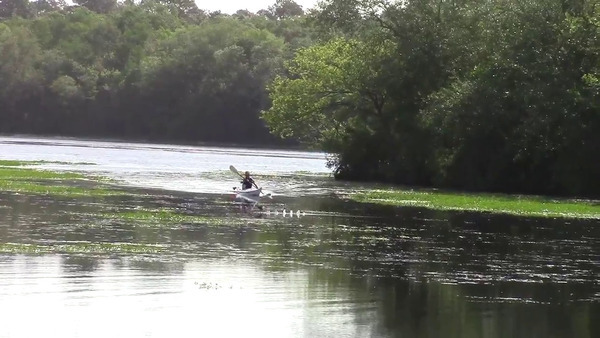 Duck flying in front of Carl Fuller