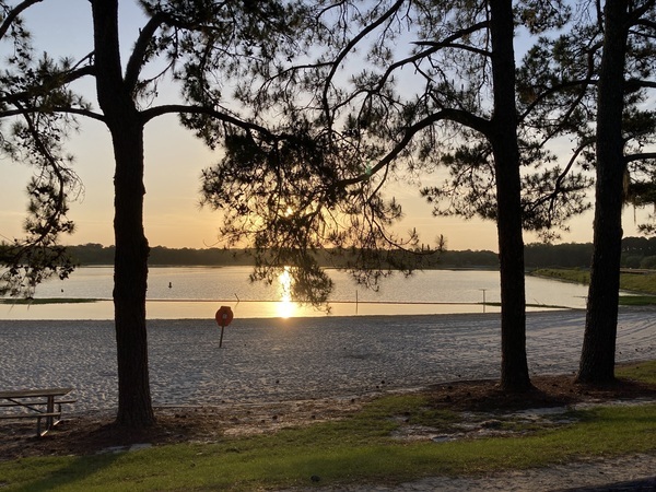 Beach, Reed Bingham State Park Lake, Colquitt County, GA