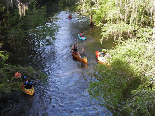 Wooden canoe