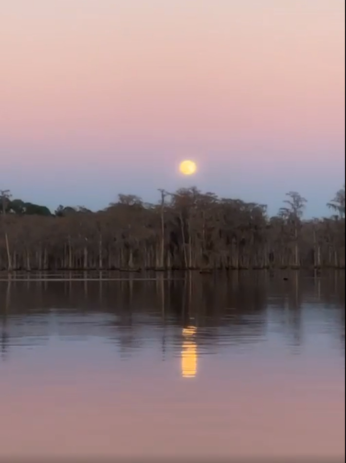 Moonrise --Kimberly Godden Tanner