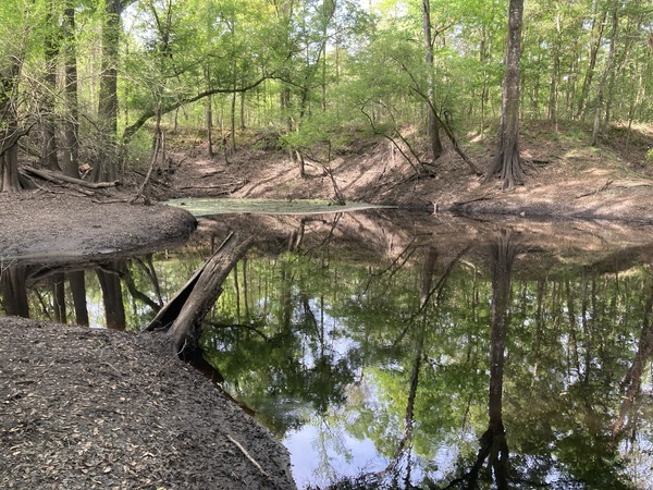 Dead River Sink