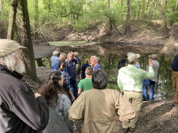 Suwannee Riverkeeper observing at Dead River Sink