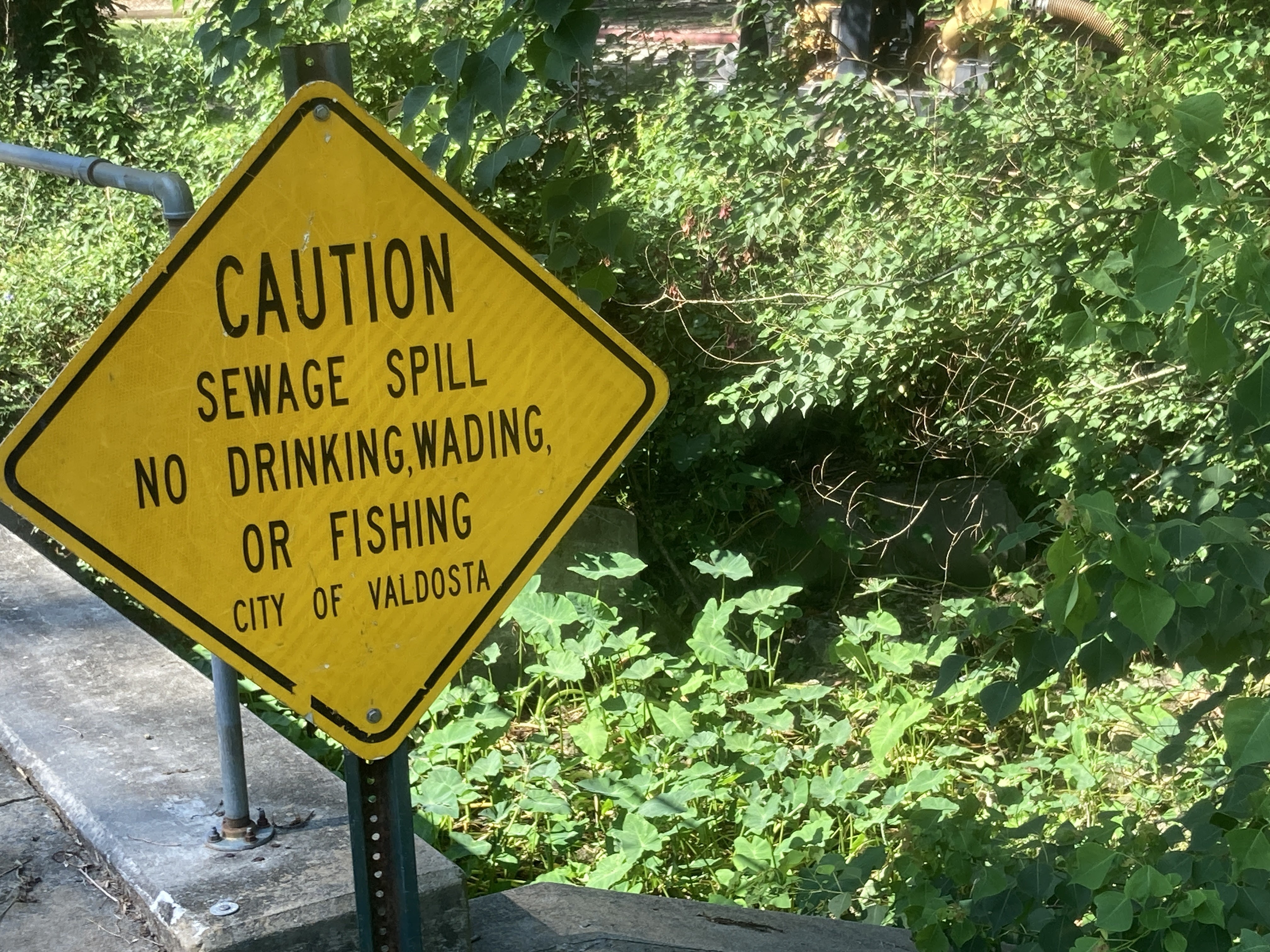 Closeup, Sewage Spill sign, One Mile Branch, 1413 Williams Street, southbound, 30.847616, -83.283692