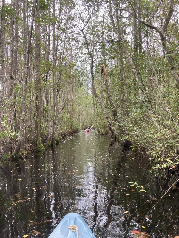 [Two boaters squeezed through --Gretchen Quarterman, 2024:11:10 14:17:19, 30.8730167, -82.2827056]