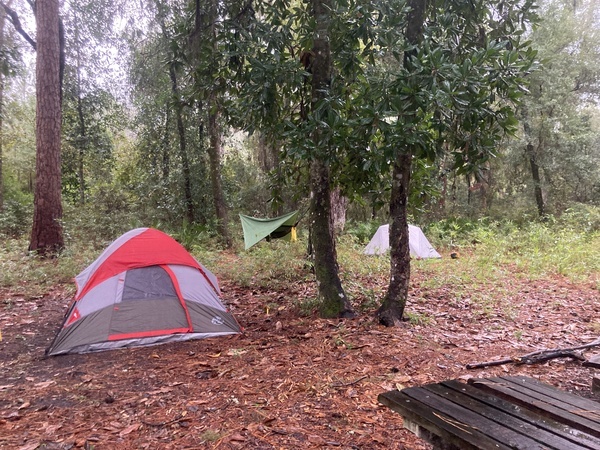 Tents and hammock --Gretchen Quarterman, 2024:11:10 16:42:36, 30.8561278, -82.2669361