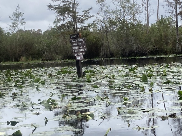 [Home to the right --Gretchen Quarterman, downstream on the Suwannee River, 2024:11:11 11:28:12, 30.8349889, -82.3431167]