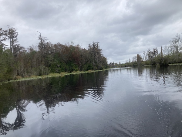 Tour boat in the distance --Gretchen Quarterman, 2024:11:11 11:34:58, 30.8348444, -82.3484361