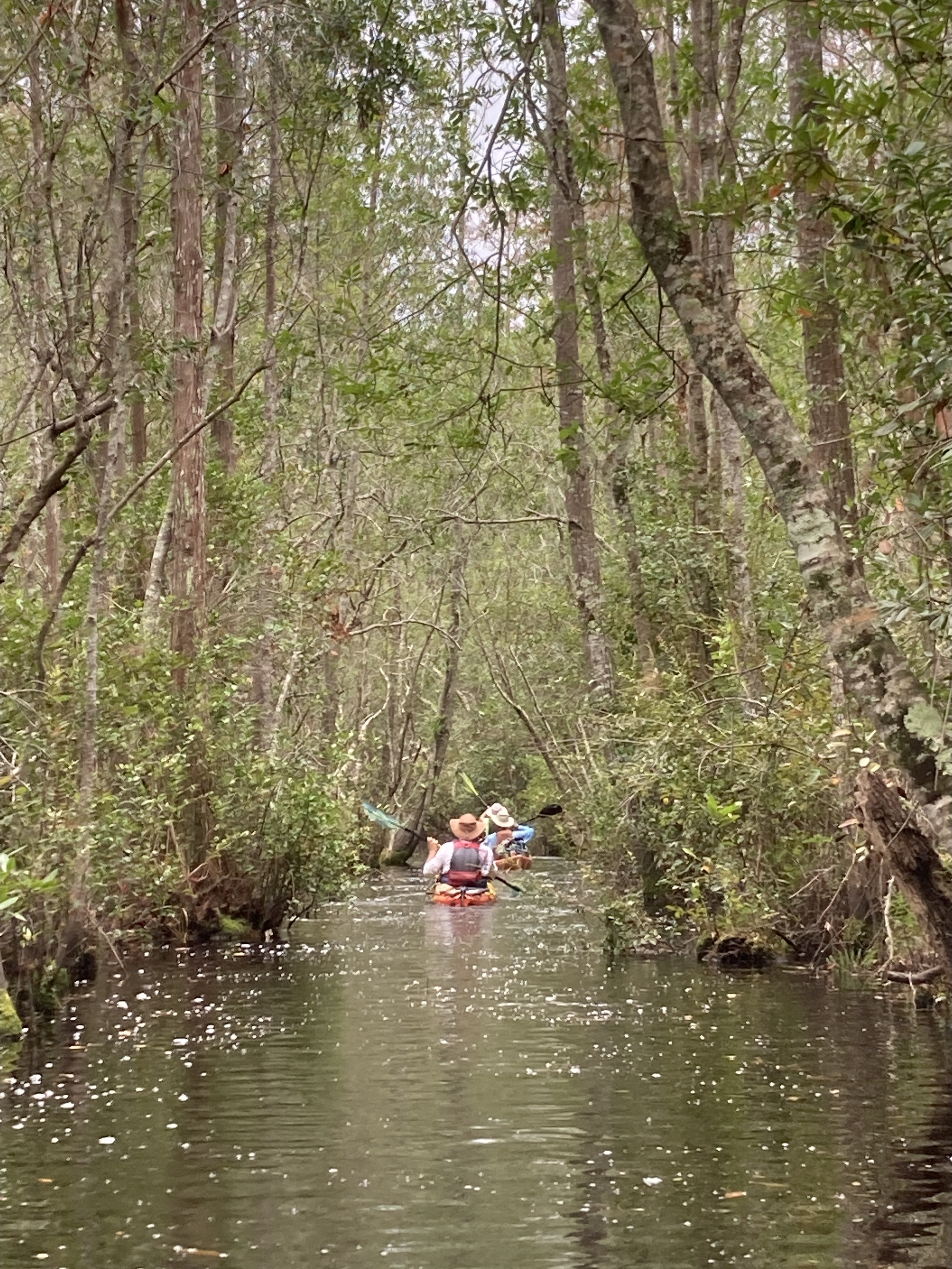 Closeup two boaters through --Gretchen Quarterman, 2024:11:10 14:17:22, 30.8726194, -82.2764806