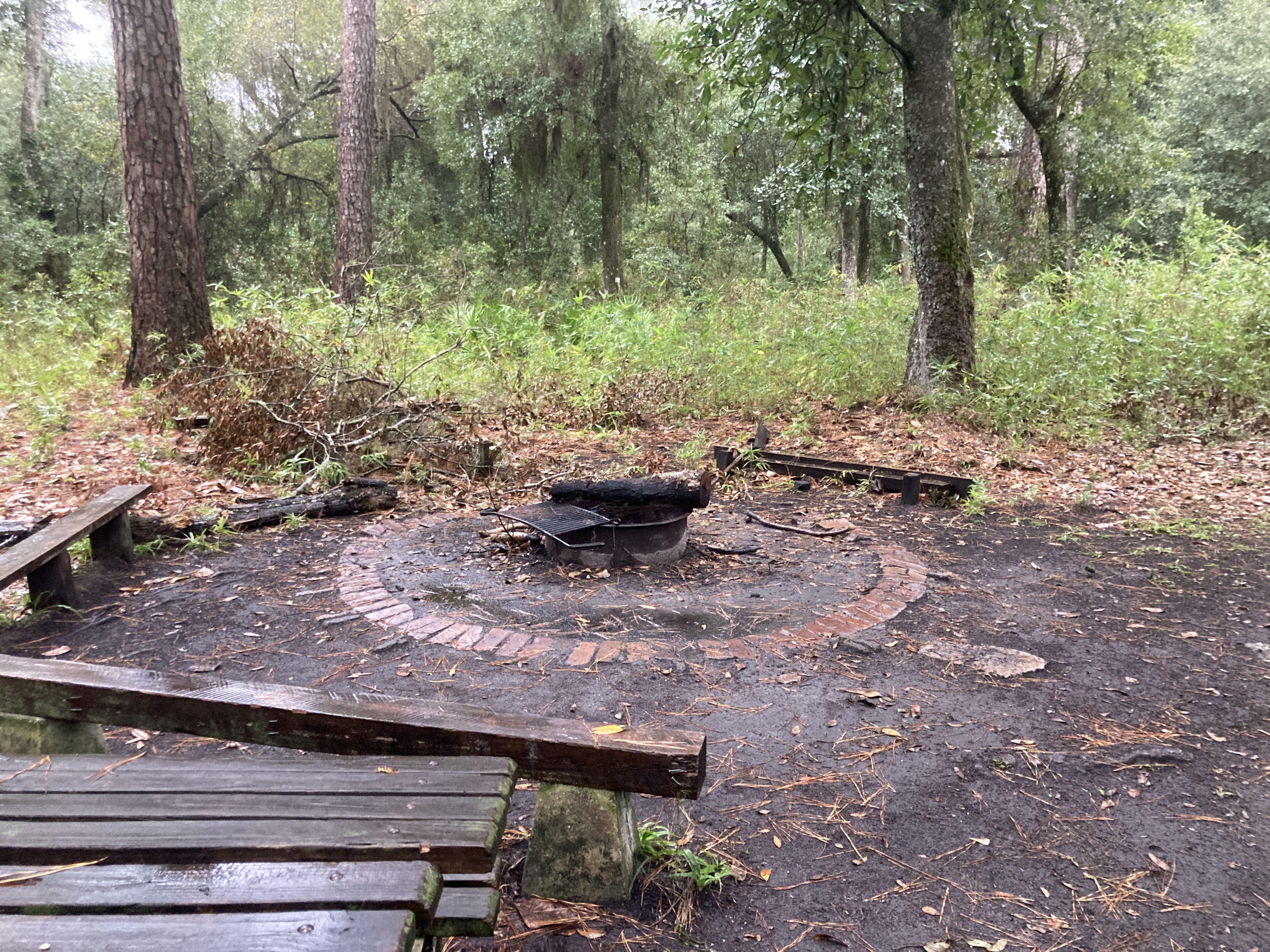 No fire in fire pit --Gretchen Quarterman, 2024:11:10 16:42:39, 30.8561083, -82.2669611