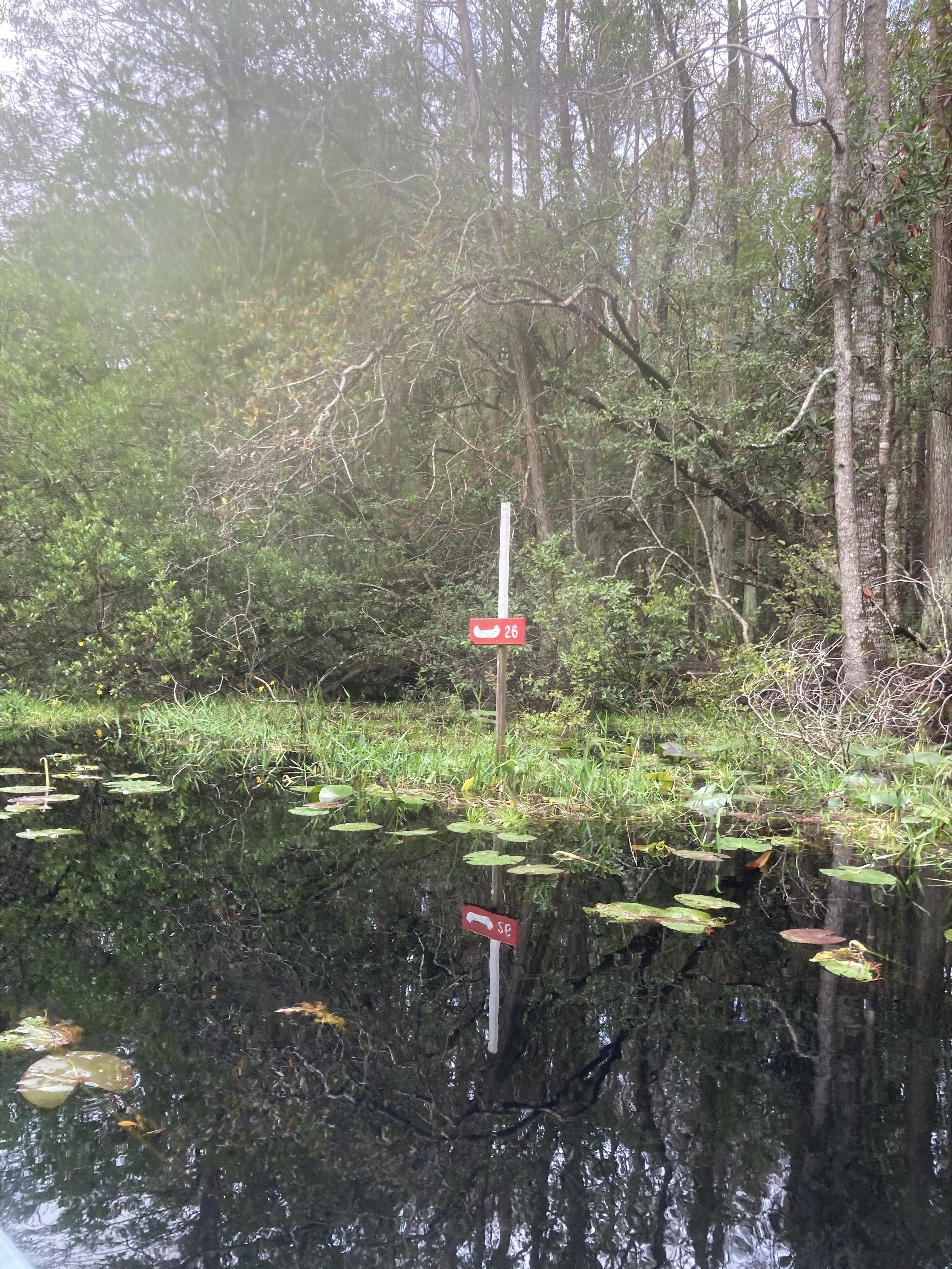 Red Trail 26 Mile sign --Gretchen Quarterman, 2024:11:11 10:04:11, 30.8727583, -82.3061889