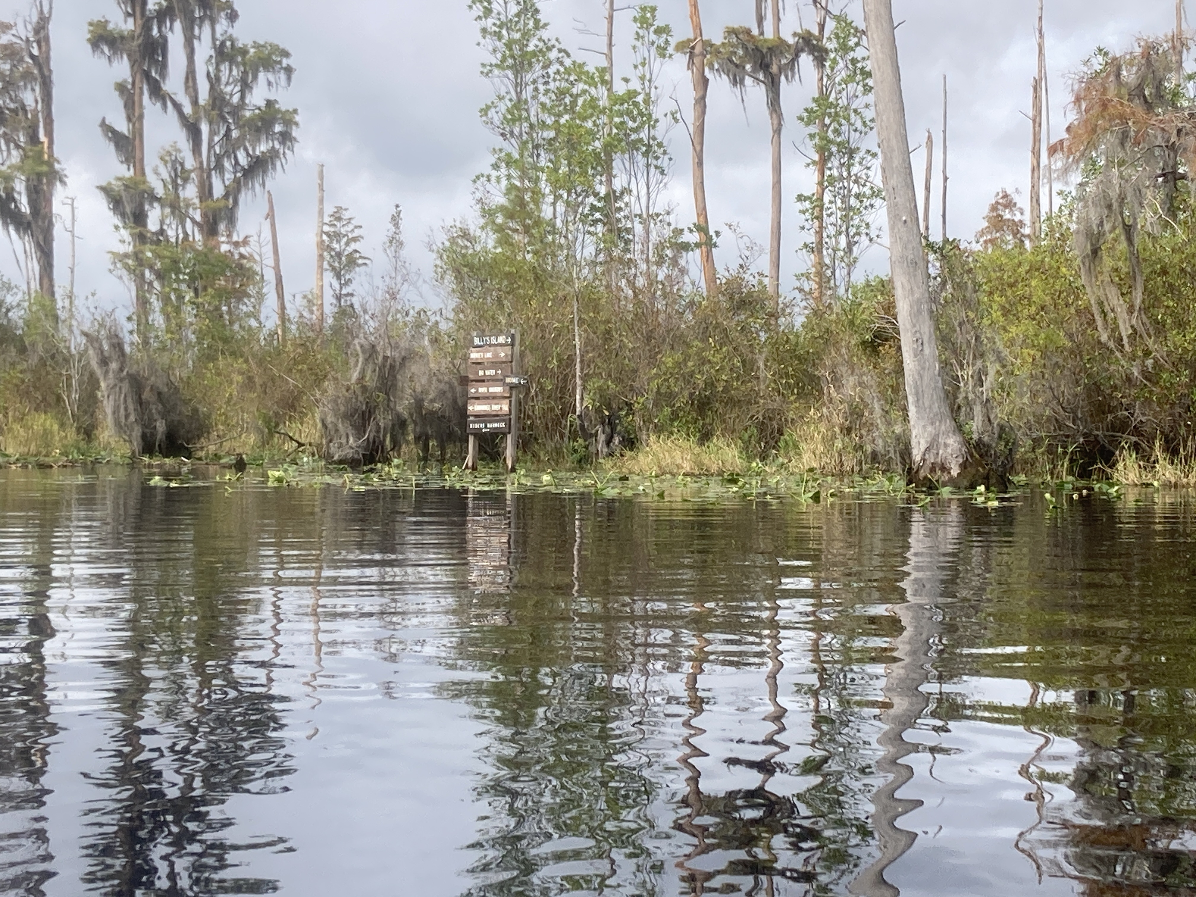 Signpost at park canal --Gretchen Quarterman, 2024:11:11 11:49:30, 30.8319167, -82.3600000