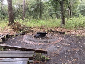 [No fire in fire pit --Gretchen Quarterman, 2024:11:10 16:42:39, 30.8561083, -82.2669611]