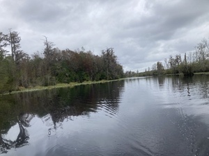 [Tour boat in the distance --Gretchen Quarterman, 2024:11:11 11:34:58, 30.8348444, -82.3484361]