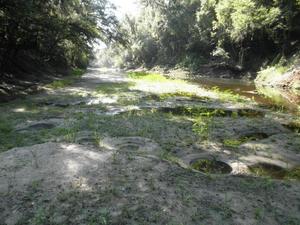 300x225 exposed bream beds near where we turned back; never did find where the water ended, in Alapaha, by Bret Wagenhorst, for WWALS.net, 1 September 2014