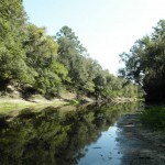 960x720 a little wider, in Alapaha, by Bret Wagenhorst, 1 September 2014