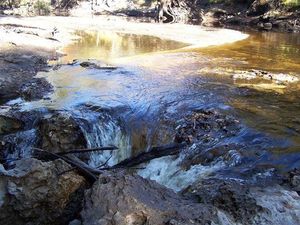 300x225 River and sink, in Alapaha River Sink, by Deanna Mericle, for WWALS.net, 11 November 2014