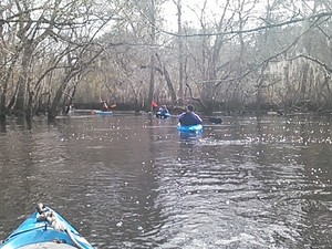 300x225 Left, in Alapaha deadfalls, by John S. Quarterman, for WWALS.net, 17 January 2015