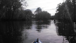 300x169 Railroad trestle, in Alapaha deadfalls, by John S. Quarterman, for WWALS.net, 17 January 2015