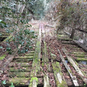 300x300 Mossy roadbed, in Old Bridge over the Alapahoochee River, by Chris Mericle, for WWALS.net, 3 January 2015