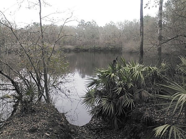 600x450 Shadrick Sinkhole 30.903927, -83.313544, in Sinkholes near the Withlacoochee River, by John S. Quarterman, for WWALS.net, 18 February 2015