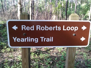 300x225 Red Roberts Loop, Yearling Trail, in BIG Little River Paddle Race, by John S. Quarterman, for WWALS.net, 16 May 2015