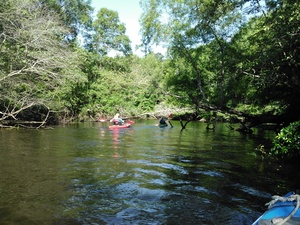 300x225 Paddling downstream, in BIG Little River Paddle Race, by John S. Quarterman, for WWALS.net, 16 May 2015