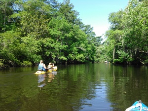 300x225 Tandem kayak, in BIG Little River Paddle Race, by John S. Quarterman, for WWALS.net, 16 May 2015