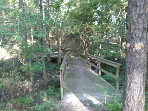 300x225 Trail blaze and bridge, in BIG Little River Paddle Race, by John S. Quarterman, for WWALS.net, 16 May 2015