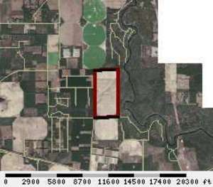 300x263 Parcel: 04-1S-11-1497-000-000, 1272 NE BEULAH CHURCH RD, Lee, FL, in Adams Spring and Bill Gates, by Chris Mericle, for WWALS.net, 13 August 2015