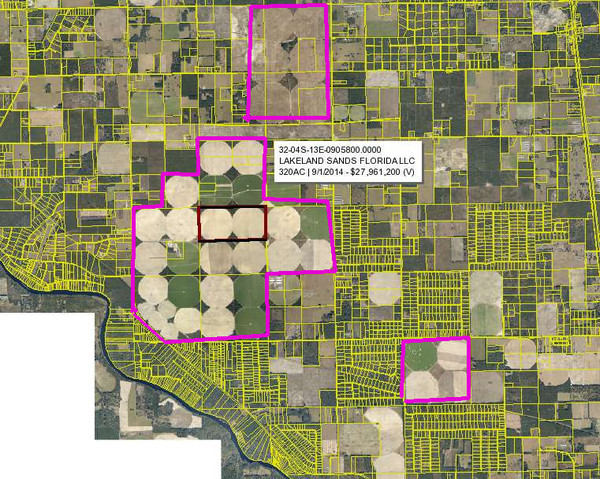 Suwannee Farms, Suwannee River Terra, and Lakeland Sands