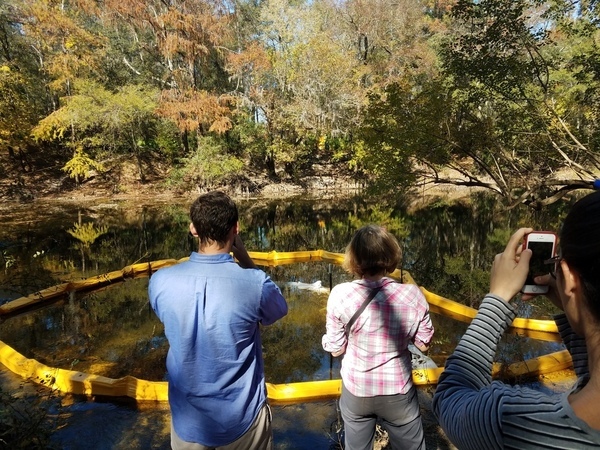 Float-Trip Dreams Of The Withlacoochee River - Georgia Outdoor News