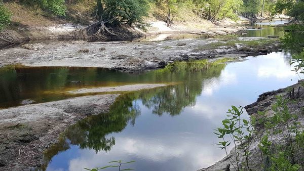 White Springs low spot