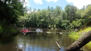 Looking out from Hardee Spring, 30.5445029, -83.2499702