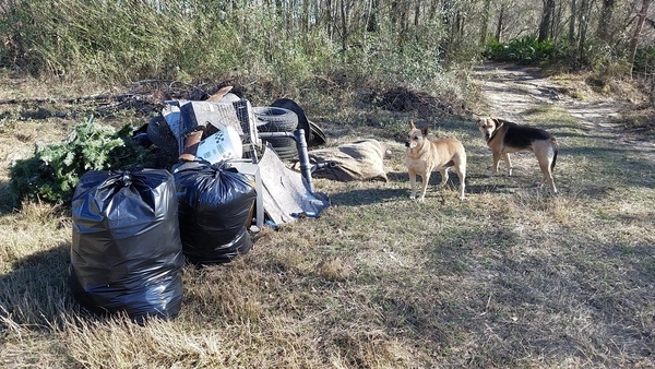 Bags of trash with reference dogs