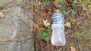 Deer Park water bottle, 13:32:26,, Upwards 30.7895772, -83.4513558