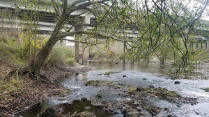 US 84 bridge, 12:34:03,, Upstream of US 84 30.7900038, -83.4585197